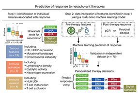 Multi-omic machine learning predictor of breast cancer therapy response