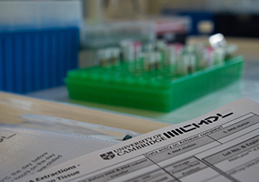 CMDL to carry out Nanopore sequencing in a new project