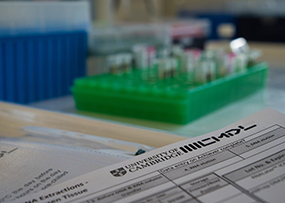 CMDL to carry out Nanopore sequencing in a new project